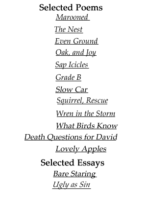 writings and poems by Patricia Fontaine